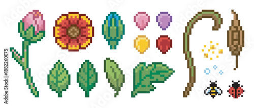 Pixel art set of flowers, leaves, stems, insects, and petals for creating botanical illustrations in a retro 8-bit video game style, showing a bee and a ladybug