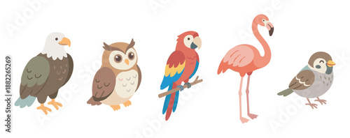 Five different illustrated bird characters in a row, featuring an eagle, owl, macaw, flamingo, and sparrow, all rendered in a charming and simple flat cartoon design