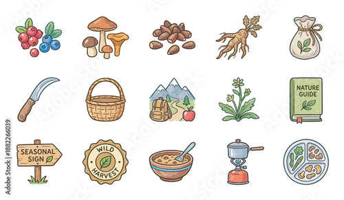 Collection of hand-drawn foraging icons representing wild harvesting and hiking, with mushrooms, berries, a basket, camping stove, and a nature guide book in a cute doodle style