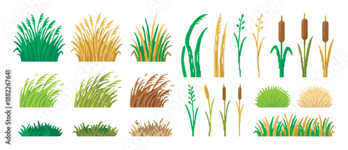 Collection of grass and reed illustrations featuring various marsh plants like cattails and bulrushes in a flat vector style with green, yellow, and brown seasonal colors