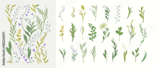 Floral set with colorful wild flowers and elegant branch. Botanical foliage for wedding invitation or wall art. Vector illustration