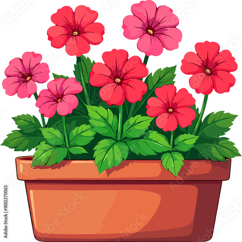 Colorful petunia flowers in pots, blooming garden plants illustration for summer decor, balcony gardening, floral design projects and vibrant botanical compositions