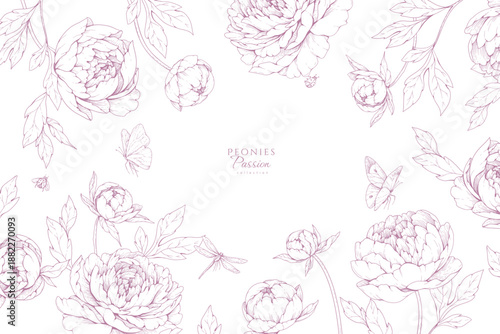 Peonies blooming. Spring background with flowers and brunch. Detailed botanic floral collection for Valentines day invitation or wallpaper