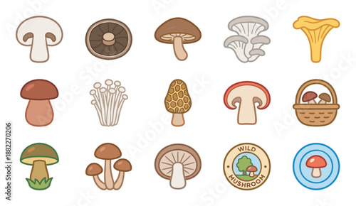 Collection of various cute mushroom icons in a flat cartoon style showing different edible fungi species like champignon, shiitake, morel, and chanterelle for foraging themes