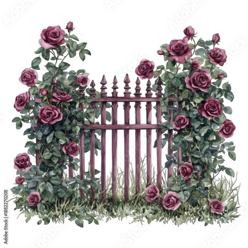 Vintage Iron Garden Gate with Climbing Burgundy Roses, Watercolor Illustration, Romantic Valentine's Day Entrance Vector
