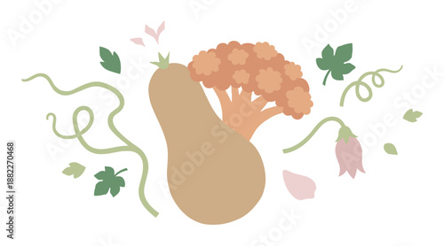Butternut squash and cauliflower vegetable illustration in a minimalist flat design style with decorative green vines, leaves, and delicate flower petals
