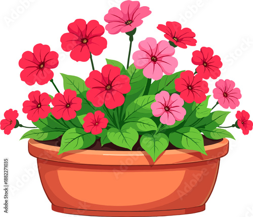Colorful petunia flowers in pots, blooming garden plants illustration for summer decor, balcony gardening, floral design projects and vibrant botanical compositions