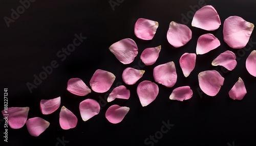 Pink Rose Petals Float In A Gentle Swirling Motion Against A Black Backdrop