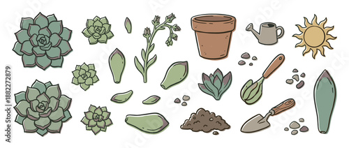 Charming set of succulent propagation illustrations with plants, leaves, a flowering stem, terracotta pot, soil, and gardening tools in a cute hand-drawn doodle style
