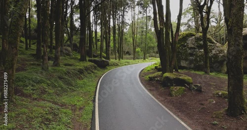 Winding asphalt road in lush, green forest with tall trees and moss covered rocks in Sintra Cascais Natural Park, evoking sense of exploration and peaceful journey through nature. Drone shot zoom out