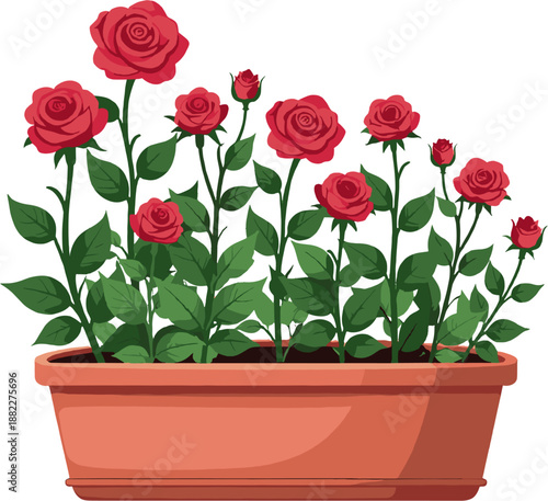 Red roses in flower pots, blooming romantic garden flowers illustration for love themes, wedding decor, balcony gardening and elegant floral compositions
