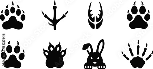 Collection of animal paw prints showing bear and bird tracks