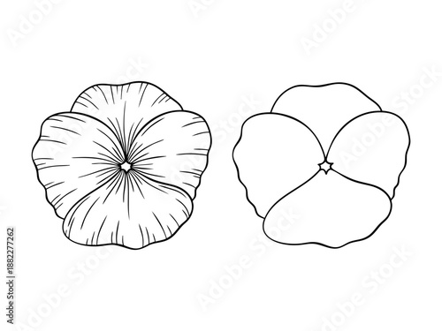 Violet - february birth month flower, line art vector set in monochrome style. Hand drawn botanical illustration. Floral sketch expressing individuality, minimalism and tattoo design concepts.