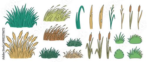 Hand-drawn collection of various grasses, reeds, and cattails in a doodle style, featuring different types of marsh and meadow plants for botanical or nature-themed designs