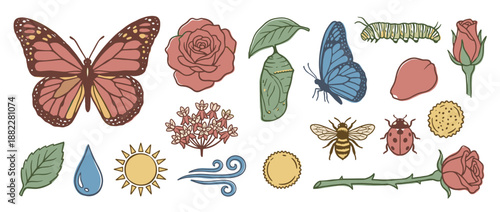 Large set of vintage-inspired nature icons including a monarch butterfly, caterpillar, chrysalis, bee, ladybug, rose, and other botanical and entomological elements