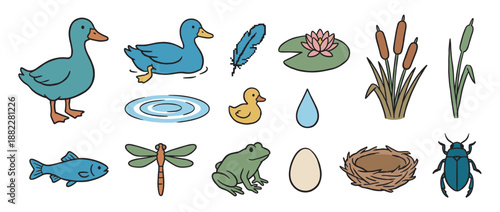 Colorful collection of pond life illustrations featuring a duck, frog, fish, dragonfly, and water lily in a charming hand-drawn cartoon style for educational or decorative use