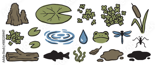 Hand-drawn pond life illustrations set with a frog, dragonfly, fish, lily pad, cattail, and other swamp ecosystem elements in a charming, simple cartoon style