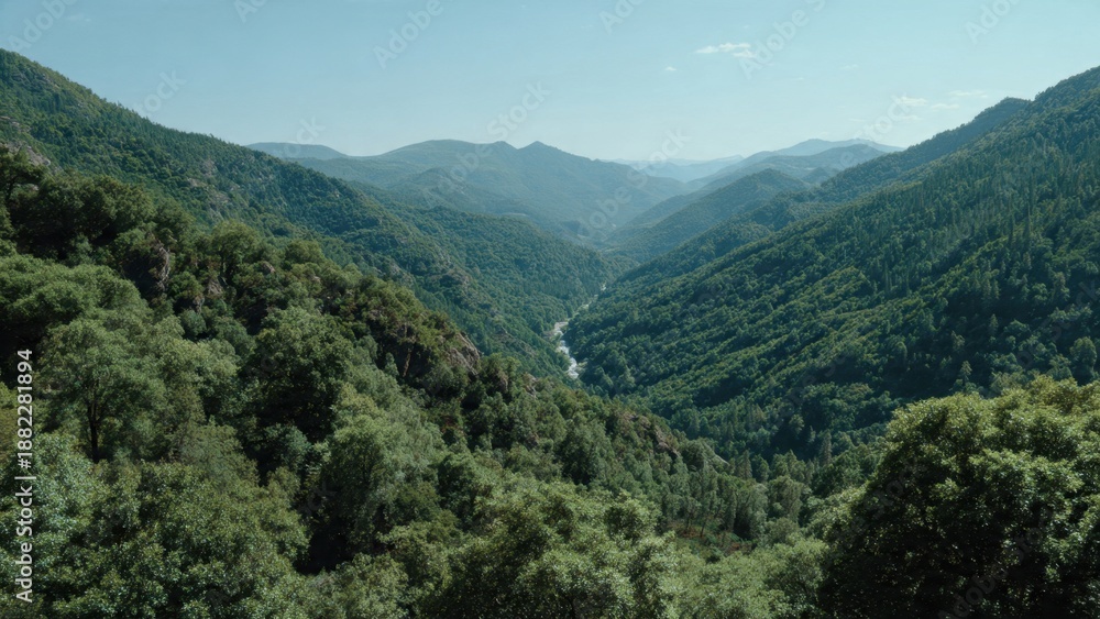 Fototapeta premium Green Mountain Valley With Winding River