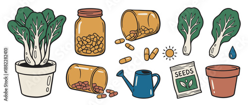 Hand-drawn doodle set of gardening icons and medicine capsules illustrates the concept of natural versus synthetic health in a charming, simple cartoon style with bold outlines