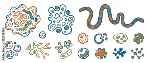 Collection of hand-drawn microscopic organisms like bacteria, viruses, and amoebas in a stylized doodle set with a blue, green, and orange color palette for science concepts
