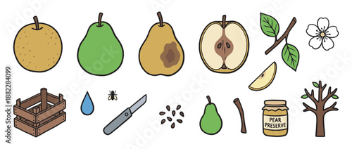 Hand-drawn pear fruit and life cycle icons showing the whole fruit, slice, tree, blossom, and preserve in a simple cartoon doodle style