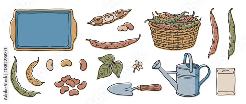 Hand drawn gardening illustration set with beans, pods, a wicker basket, watering can, trowel, and seed packet for home agriculture and planting