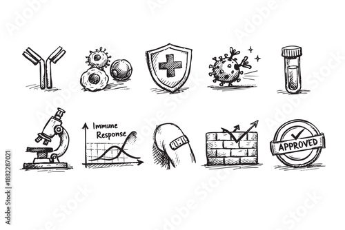 Hand-drawn medical sketches in black ink show the body's immune response, vaccine protection, and approval, perfect for illustrating healthcare and science concepts.