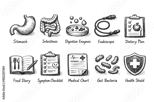 Conceptual sketch illustration showcasing human digestive system organs, gut bacteria, diet plans and medical tools for educational or healthcare design projects.