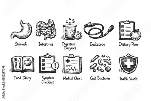 Hand-drawn style illustration featuring the stomach, intestines, digestive enzymes, endoscope, and gut bacteria on a white background, ideal for medical designs.