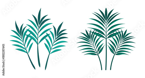 Simple green palm fronds against white isolated tropical leaves