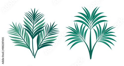 Green palm fronds botanical art isolated tropical leaves design