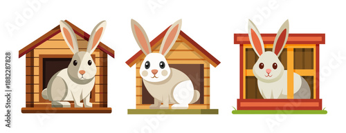 Cute white rabbits in wooden hutches adorable pets isolated images