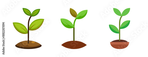 Three sprouting seedlings growing from soil isolated image