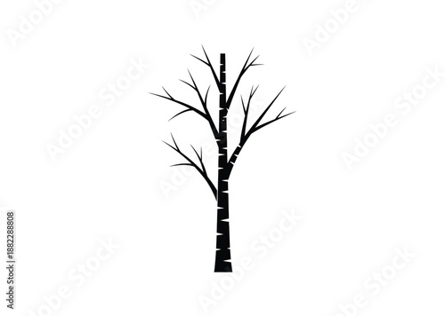 A bare tree silhouette against a white background in winter