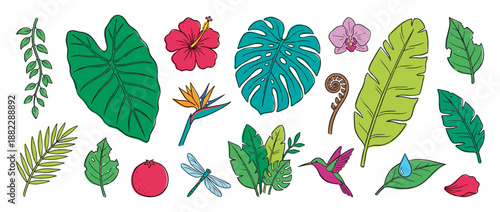 Colorful hand-drawn set of tropical plants, exotic flowers, and jungle animals including monstera, hibiscus, hummingbird, and dragonfly in a vibrant doodle illustration style