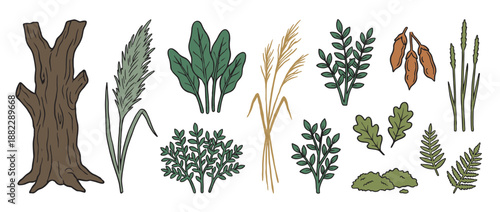 Collection of hand-drawn forest elements including a tree trunk, leaves, grasses, and bushes in a simple doodle style for nature-themed design projects