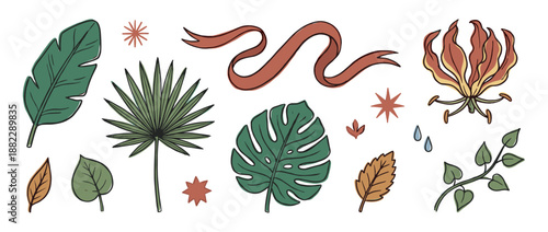 Set of bohemian style botanical illustrations featuring tropical leaves like monstera and palm, a gloriosa lily flower, a ribbon, and decorative elements in an earthy color palette