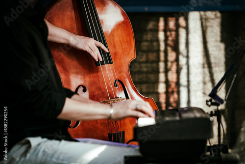 Bilde på lerret Hands of musicians playing double bass and piano