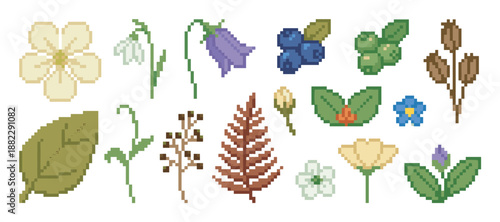 Collection of pixel art flowers, berries, and leaves in a charming retro 8-bit video game style, featuring various botanical elements like blueberries, ferns, and wildflowers
