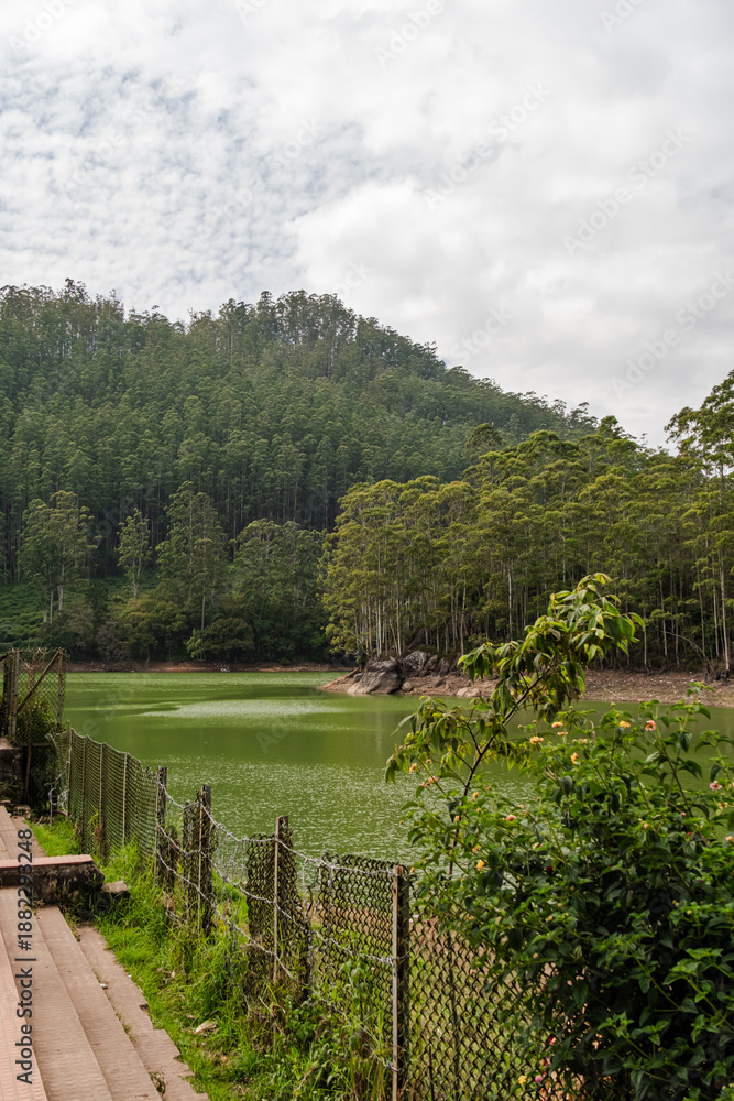 Fototapeta premium Munnar - Kerala - Tea Plantations and Mattupetty Dam - Kerala Tourism