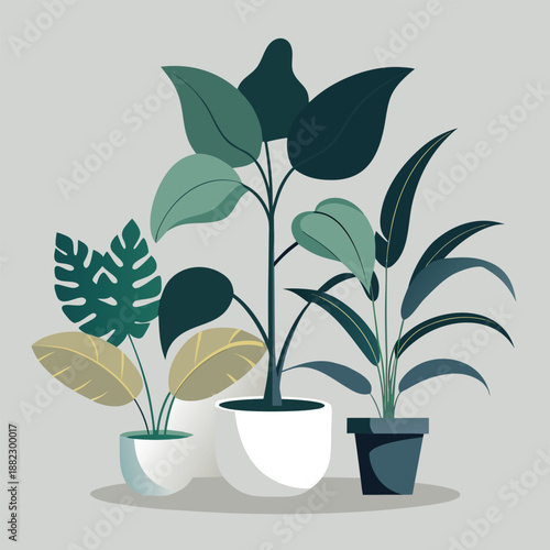 Collection of potted plants with large leaves on light gray background for indoor gardening and decoration