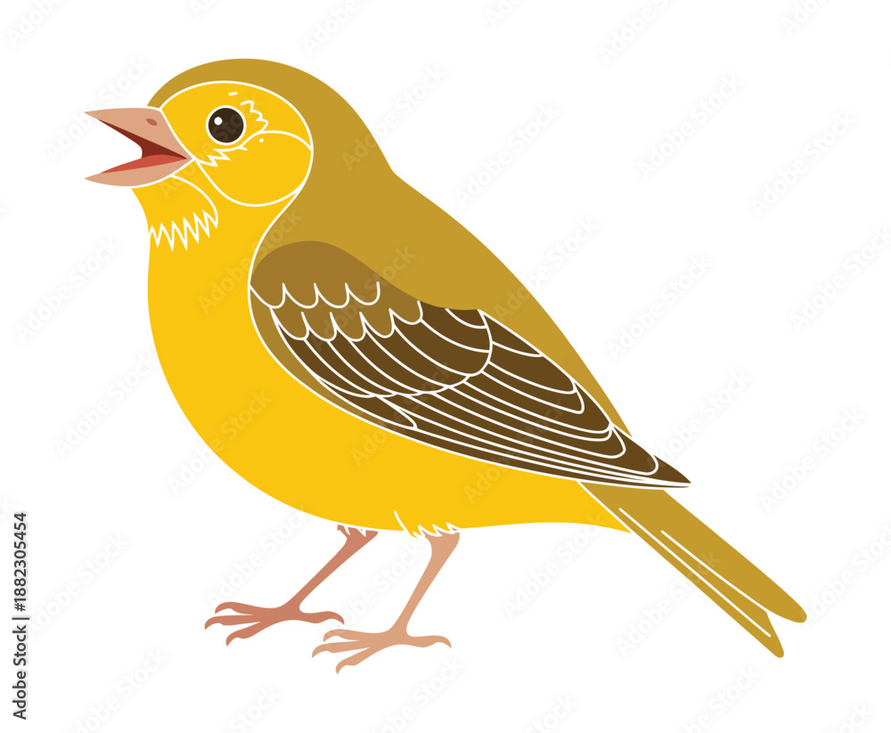 Fototapeta premium A vibrant yellow bird with brown wings and a distinctive beak stands on a plain white background, singing a sweet melody.