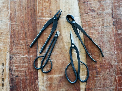 Essential tools for Bonsai arranged on wooden table