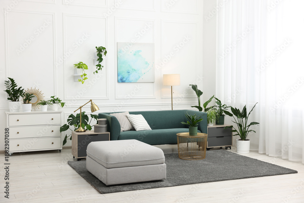 Fototapeta premium Different potted houseplants, sofa and other furniture in living room
