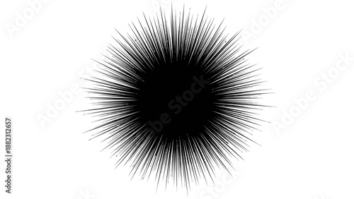 Black radial lines bursting from a central point, creating a dynamic circular pattern, viewed from directly above