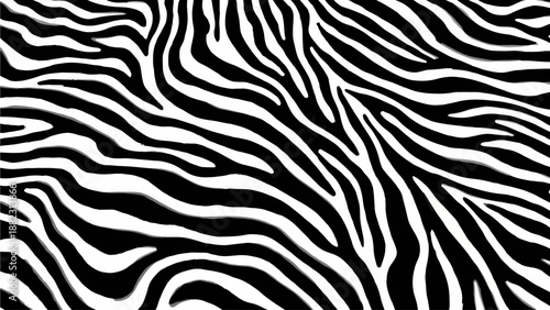 Zebra pattern illustration showcasing black and white stripes from a close-up viewpoint