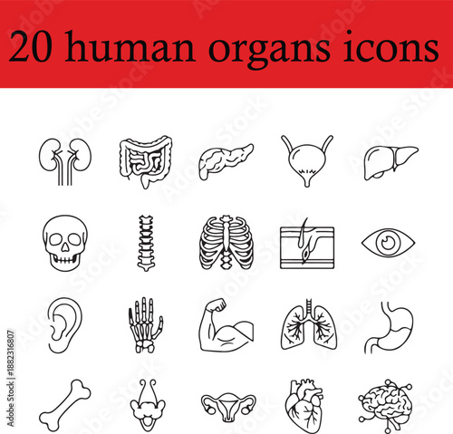 20 human anatomy organ icons vector illustration