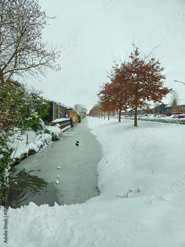 A snowy landscape in the Netherlands. close up frozen river with logs in winter park. Sunrise river in a Cold Winter landscape with snow and frost.