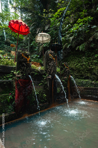 Bali Forest