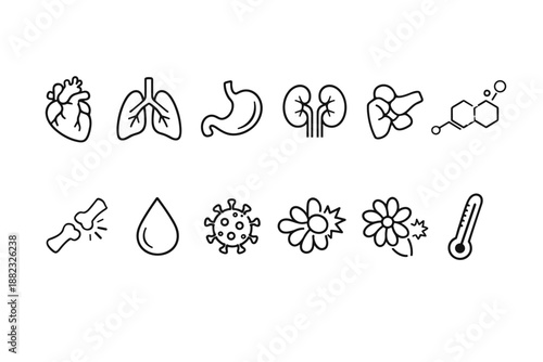 Health and anatomy line icon set. Medical, biological icons outline collection